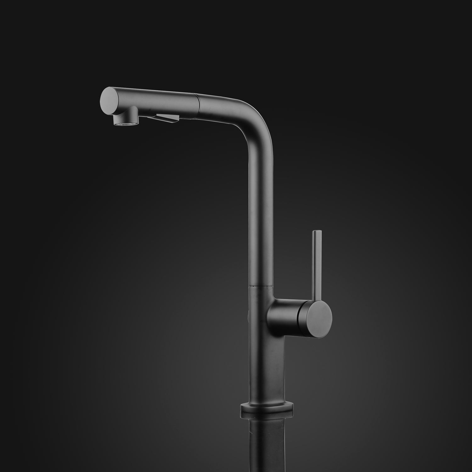 MaestroBath 1.8 GPM Rosa Modern ADA Kitchen Faucet With 2 Jets, Black, Lead-Free Brass, Matt Black, KIT-ROS-BLK