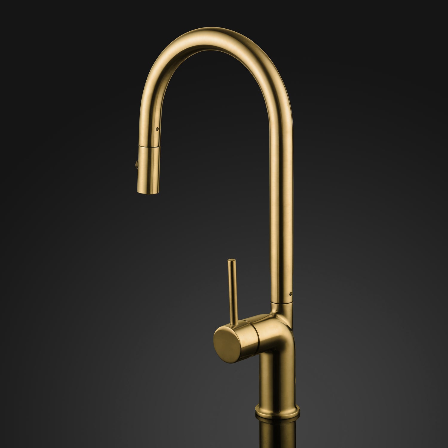 MaestroBath 1.8 GPM Aura Modern ADA Kitchen Faucet With 2 Jets, Brushed Gold, Lead-Free Brass, KIT-AUR-BGL