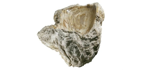 42" Petrified Wood Stone Vessel Sink, Brown, Taupe, PEWD-#002