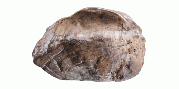 18" Petrified Wood Stone Vessel Sink, Beige, Brown, PEWD-#3023