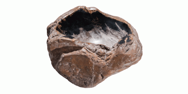 17" Petrified Wood Stone Vessel Sink, Black, Brown, Cream, PEWD-#3060