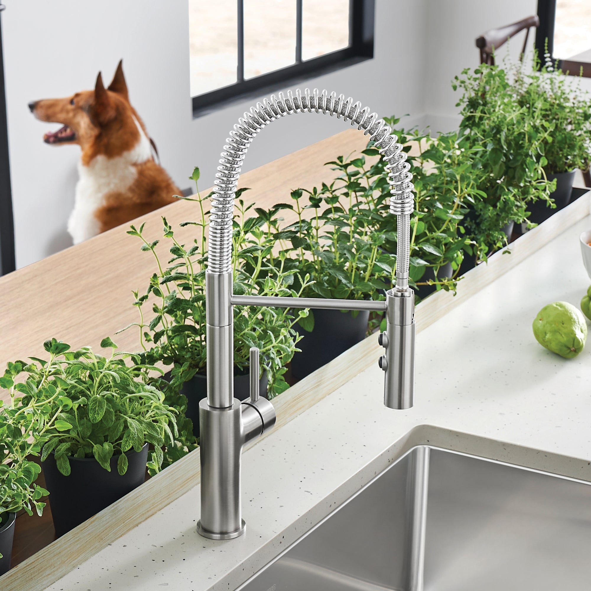 Alternate Image for Blanco Catris Semi-Pro Pull-Down Dual-Spray Kitchen Faucet, PVD Steel, 1.5 GPM, Brass, 401918