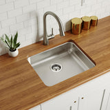 Elkay Lustertone Classic 22" Undermount Stainless Steel ADA Kitchen Sink, Lustrous Satin, 18 Gauge, ELUHAD191650