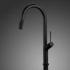 MaestroBath 1.8 GPM Brezza Modern ADA Kitchen Faucet With 2 Jets, Black, Lead-Free Brass, Matt Black, KIT-BRZ-BLK