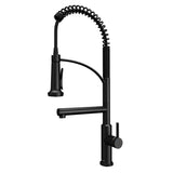 Karran Adlington 1.8 GPM Single Lever Handle Lead-free Brass ADA Kitchen Faucet, Pull-Down, Matte Black, KKF360MB