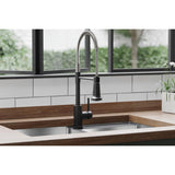 Elkay Avado Lever Handle Semiprofessional Spout Brass ADA Kitchen Faucet, Black Stainless and Chrome, LKAV2061BKCR