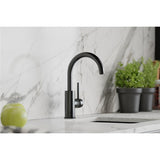 Elkay Avado Lever Handle Gooseneck Spout Brass ADA Bar Faucet, Black Stainless, LKAV3021BK