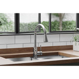 Elkay Avado Forward Only Lever Handle Pull-down Spray Spout Brass ADA Kitchen Faucet, Chrome, LKAV3031CR