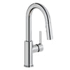 Elkay Avado Lever Handle Pull-down Spray Spout Brass ADA Bar Faucet, Chrome, LKAV3032CR