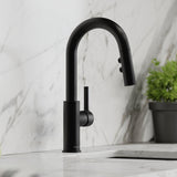 Elkay Avado Lever Handle Pull-down Spray Spout Brass ADA Bar Faucet, Matte Black, LKAV3032MB