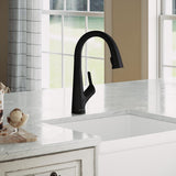 Elkay Avado Lever Handle Pull-down Spray Spout Brass ADA Kitchen Faucet, Matte Black, LKAV7051FMB