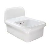 Nantucket Sinks Victorian 13.58" x 17.91" Irregular Wallmount Fireclay Bathroom Sink with Accessories, White/White, NS-VCDM14-WW