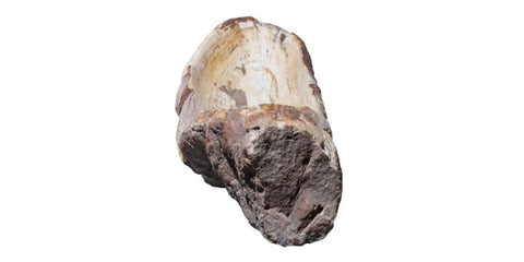 Allstone 36"x13.25"x7.5" Petrified Wood Stone Vessel Sink, Beige, Brown, PEWD-#2123