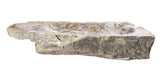 Allstone 32"x13"x5.5" Petrified Wood Stone Vessel Sink, Beige, Brown, PEWD-#274
