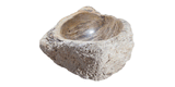 Allstone 31"x21.5"x8" Petrified Wood Stone Vessel Sink, Beige, Brown, PEWD-#3068