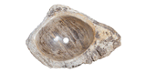 Allstone 31"x21.5"x8" Petrified Wood Stone Vessel Sink, Beige, Brown, PEWD-#3068