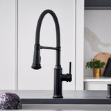 Blanco Empressa Semi-Pro Pull-Down Dual-Spray Kitchen Faucet, Matte Black, 1.5 GPM, Brass, 443022