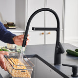 Blanco Rivana Semi-Pro Pull-Down Dual-Spray Kitchen Faucet, Matte Black, 1.5 GPM, Brass, 443019