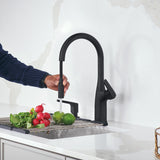 Blanco Rivana High-Arc Pull-Down Dual-Spray Kitchen Faucet, Matte Black, 1.5 GPM, Brass, 443020
