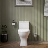 EAGO Porcelain, White, TB353 DUAL FLUSH ONE PIECE ECO-FRIENDLY HIGH EFFICIENCY LOW FLUSH CERAMIC TOILET