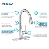 Elkay Forward Only Lever Handle Pull-down Spray Spout Brass ADA Kitchen Faucet, Lustrous Steel, LKGT4083LS