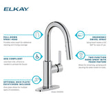Elkay Avado Lever Handle Pull-down Spray Spout Brass ADA Bar Faucet, Black Stainless, LKAV3032BK