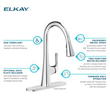 Elkay Harmony Forward Only Lever Handle Pull-down Spray Spout Brass ADA Kitchen Faucet, Lustrous Steel, LKHA1041LS