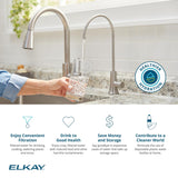 Elkay Avado 1.5 GPM Lever Handle Gooseneck Spout Brass ADA Kitchen Faucet, Lustrous Steel, LKAV71FLS