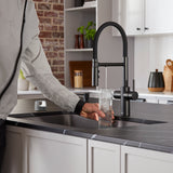 Blanco Catris Flexo Filter-Ready Semi-Pro Pull-Down Dual-Spray Kitchen Faucet, Matte Black, 1.5 GPM, Brass, 442992