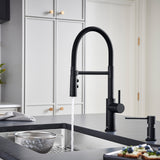 Blanco Catris Flexo Semi-Pro Pull-Down Dual-Spray Kitchen Faucet, Matte Black, 1.5 GPM, Brass, 443026