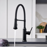 Blanco Empressa Semi-Pro Pull-Down Dual-Spray Kitchen Faucet, Matte Black, 1.5 GPM, Brass, 443022