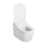 TOTO WASHLET+ RP Wall-Hung D-Shape Toilet with RX Bidet Seat and DuoFit In-Wall 1.28 and 0.9 GPF Dual-Flush Tank System, Matte Silver, Vitreous China|Steel|Plastic, CWT4474047CMFG#MS