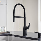 Blanco Rivana Semi-Pro Pull-Down Dual-Spray Kitchen Faucet, Matte Black, 1.5 GPM, Brass, 443019