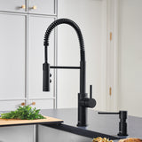 Blanco Catris Semi-Pro Pull-Down Dual-Spray Kitchen Faucet, Matte Black, 1.5 GPM, Brass, 443032