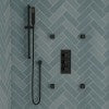 ALFI brand AB3820-BM Black Matte 2" Square Adjustable Shower Body Spray, Brass