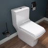 EAGO Porcelain, White, TB356 Dual Flush One Piece High-Efficiency Low Flush Ceramic Toilet