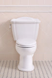 TOTO Eco Dartmouth Two-Piece Elongated 1.28 GPF Universal Height Toilet, Sedona Beige, Vitreous China, CST754EF#12