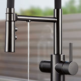 Blanco Catris Flexo Filter-Ready Semi-Pro Pull-Down Dual-Spray Kitchen Faucet, Matte Black, 1.5 GPM, Brass, 442992