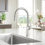 Blanco Rivana 1.5 GPM Brass Kitchen Faucet, Pull-Down, Stainless, 442678