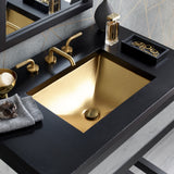 Native Trails Amara 20" x 14" Rectangle Fireclay Bathroom Sink, Matte Gold, PML2014-G