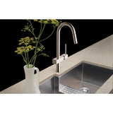 Elkay LKAV1031NK Avado Single Hole Kitchen Faucet with Pull-down Spray and Lever Handle Brushed Nickel