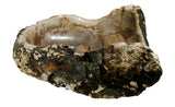 20.5" Petrified Wood Stone Vessel Sink, Beige, Brown - The Sink Boutique