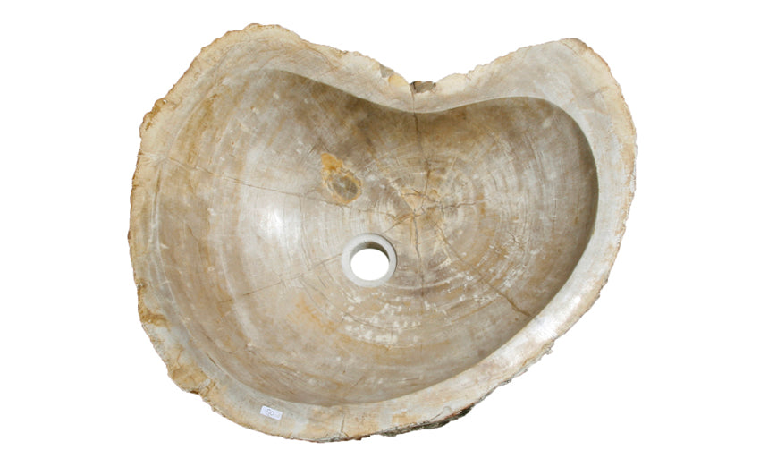 20" Petrified Wood Stone Vessel Sink, Beige - The Sink Boutique