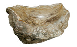 18.5" Petrified Wood Stone Vessel Sink, Beige, Taupe - The Sink Boutique