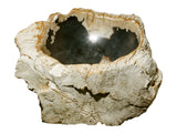 21" Petrified Wood Stone Vessel Sink, Black - The Sink Boutique