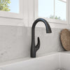 BOCCHI Pagano 1.75 GPM Brass Kitchen Faucet, Transitional, Matte Black, 2024 0001 MB