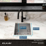 Elkay Crosstown 16" Stainless Steel Kitchen Sink, 16 Gauge, Polished Satin, EFU131610TC