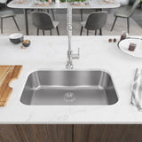 Rene 30" Stainless Steel Kitchen Sink, 18 Gauge, R1-1040-18 - The Sink Boutique