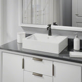 Rene 21" Rectangle Porcelain Bathroom Sink, Biscuit, with Faucet, R2-5018-B-R9-7005-ABR - The Sink Boutique