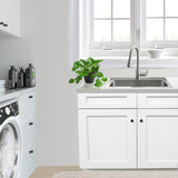 Nantucket Sinks Pro Series 25" Drop In/Topmount 304 Stainless Steel Laundry/Utility Sink with Accessories, SR2522-12-16